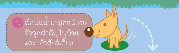 กำจัดเห็บหมา